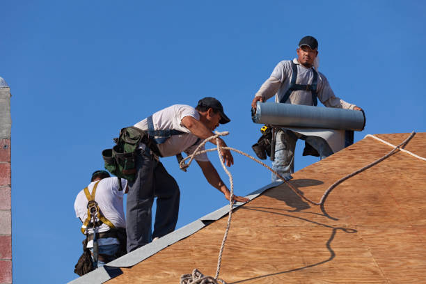 Best Roof Maintenance Services  in Leipsic, OH